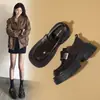 ZHR Sapatos de salto grosso com sola grossa e boca profunda para mulheres 2026 outono novo estilo versátil para o dia a dia temperamento estilo britânico sapatos de salto único