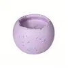 Velas de Aceite Esencial Vegetal con Aroma a Hierba Limón Personalizadas OEM, Velas de Aromaterapia de Alto Nivel en Taza de Cemento para la Sala de Estar, Artículos de Regalo