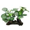 Decoração para animais de estimação escalada, planta verde, paisagismo, tanque de tartaruga, conjunto de plantas, aquário, tanque de peixes, plástico, madeira afundada, pano, folha, grama, decorações, flores e plantas