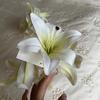 Flor de lirio abierta hermosa flor de lirio tridimensional pasador de pelo alto sentido parte trasera de la cabeza sentido de la atmósfera placa de sujeción para el pelo clip
