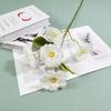 Artificial único 5 cabeça hibisco flor 5 cabeça fengdan flor casamento salão de casamento flor linha estrada chumbo arranjo de flores garrafa de flores comércio exterior