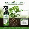Solución Nutritiva Multifuncional Kineshinex para Potos, Monstera y Árbol del Dinero, Promueve el Crecimiento de Raíces y Revitaliza las Hojas
