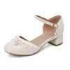 Nuevos Zapatos de Hada Estilo Étnico Estampado Baotou 2025 30-43 Estilo Chino Cheongsam Dinastía Han Sandalias Huecas Zapatos de Exportación