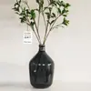 Florero de Vidrio de Boca Pequeña y Barriga Grande, Decoración para Entrada y Sala de Estar, Florero Transparente Grande de Piso Hidropónico de Alta Gama, Transfronterizo