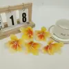 Envio Direto da Fábrica de Flores Artificiais Premium Transfronteiriças, Broches de Flor de Azaleia 3D, Flores para Chapéu, Acessórios de Cabeça, Flores Decorativas para Áreas Cênicas