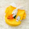 Roupas para gatos Nova Daisy Primavera suéter de veludo fino ursinho de pelúcia cachorro cachorro pequeno cachorro gato roupas