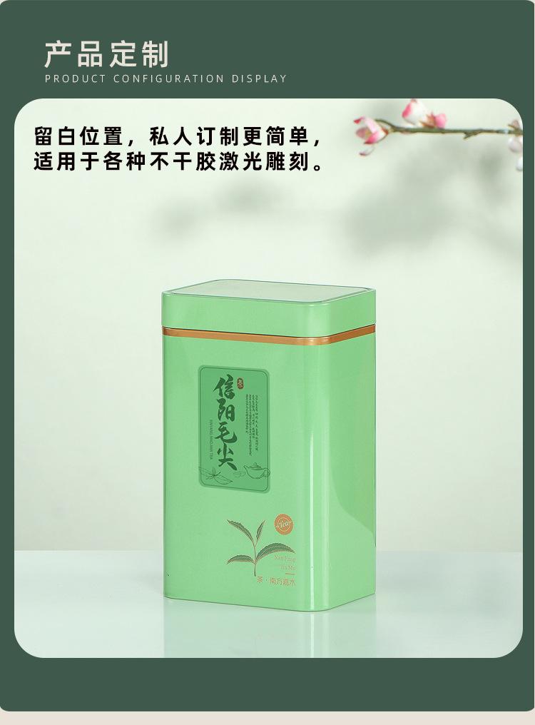 a015-170南方嘉木_06.jpg