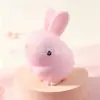 Brinquedo de blocos de montar coelho da sorte, best-seller transfronteiriço, um brinquedo DIY criativo e fofo para alívio do estresse, disponível para atacado