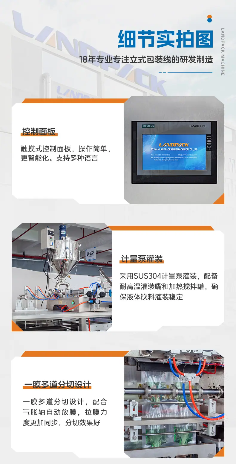 LDFS-620L两列异形袋边封多列机-傅新_07.jpg