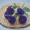 Crisântemo Simulado de 5 Cabeças Flor de Cabo Pequeno Decoração de Casa Dente-de-Leão Decoração de Mesa Tênis de Mesa Crisântemo Flor Artificial de Exportação