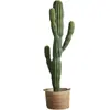 Cactus Grande cactus artificial planta de arena paisaje paisaje paisaje planta tropical cactus en maceta columna de cactus
