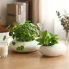 Vaso Hidropônico Cerâmico Irregular Criativo Design Moderno Minimalista para Decoração de Casa Formato de Ovo para Cultivar Plantas Verdes