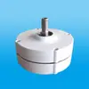 Gerador Magnético Permanente de Ímã de Neodímio Ferro Boro 12V24V48V Geração de Energia Eólica 100W-800W1Kw-3Kw Tensão
