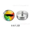 Aleación de Titanio Ojo del Diablo Piercing de Lengua Diente Interno F136 Accesorios de Piercing de Titanio DIY Piercing de Oreja Piercing de Labio Joyería para Ojos Cabeza