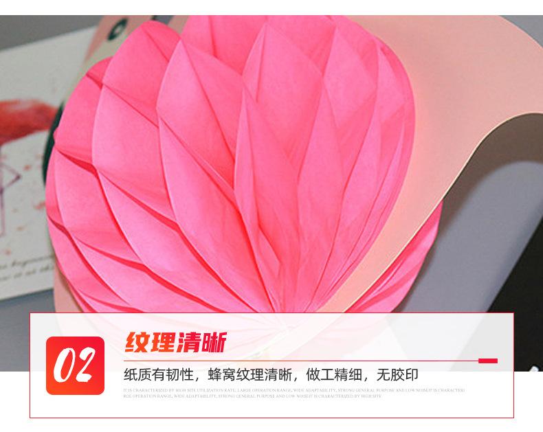 5火烈鸟_05.jpg