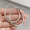 Aretes de Aro Liso de Alta Gama Plata Zirconia Aretes de Aro Grande 2025 Nuevo Estilo Caliente Lujo Accesible Aretes de Aro Elegantes