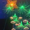 Lámpara de Medusa para Exteriores LED Lámpara de Fibra Óptica Girasol Estrella de Cinco Puntas Lámpara Colorida Impermeable para Patio Lámpara para Césped