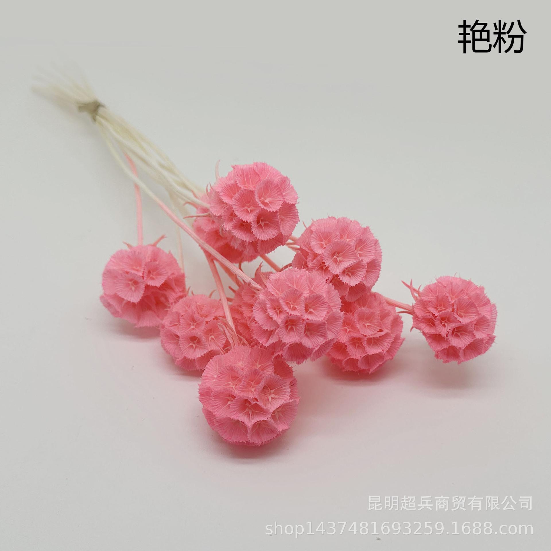 5艳粉.jpg