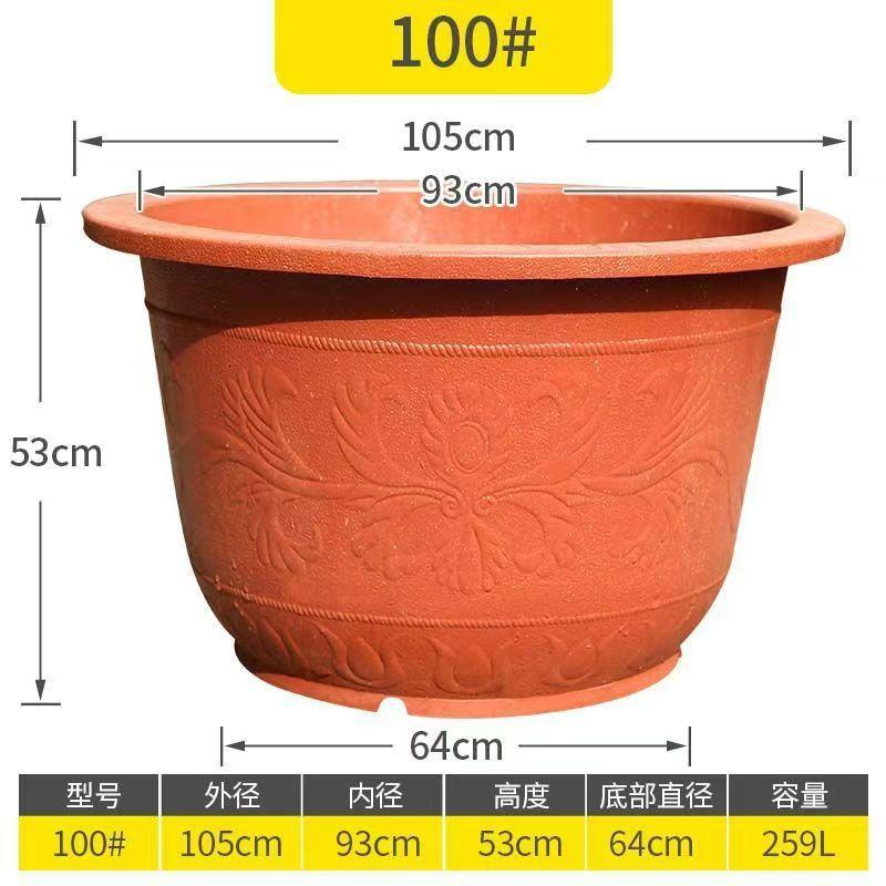 100红