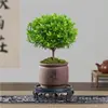 Planta Bonsái Rojo Nan de Hoja Pequeña Tocón Viejo Madera Nan Hilo Dorado Maceta Zen Chino Planta Verde de Escritorio Flor