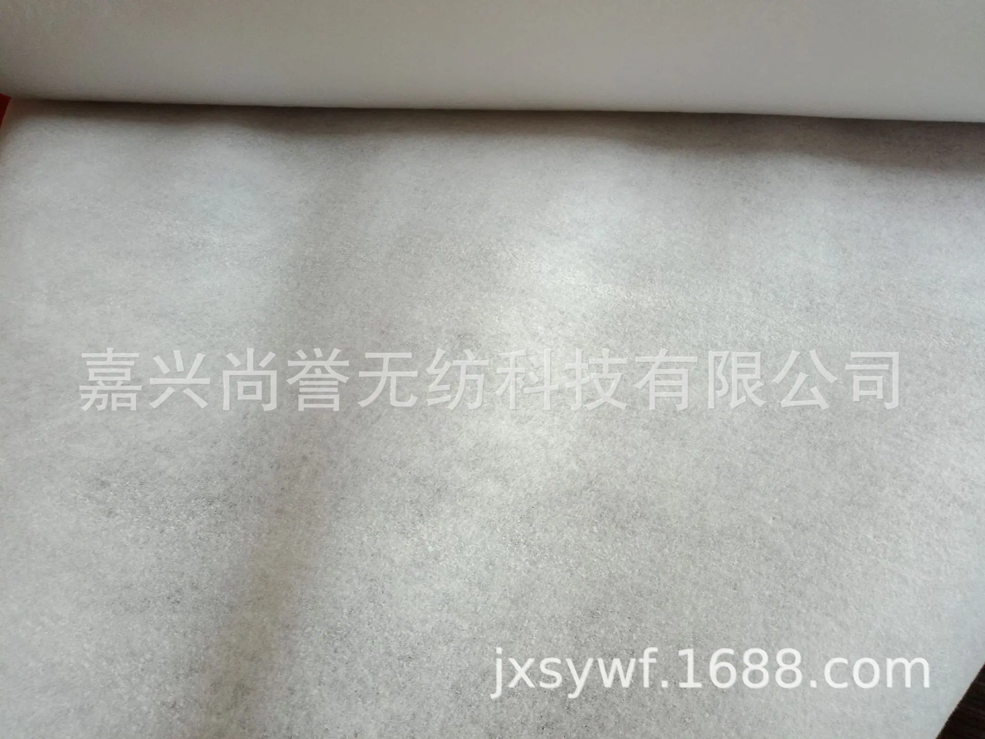 IMG20191011124412.jpg