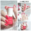 Esmalte Novo Secagem Rápida Sem Cozimento À Base de Água Esmalte de Arrancar Secagem Rápida Sem Cheiro Forte Esmalte de Primavera e Outono