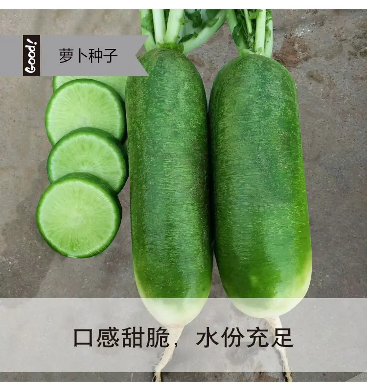 翠玉水果萝卜03-2