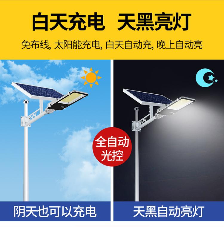 牙刷路灯详情-玖嘉_02.jpg