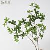 Planta verde de simulación de alta gama, hoja de Elemene de una sola rama, reloj colgante, hoja de Ma borracho, decoración del hogar, flores falsas, accesorios de fotografía, paisajismo