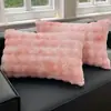 Par de Fronhas de Pelúcia de Pelo de Coelho para Inverno, Espessadas com Veludo de Leite, Capa para Enchimento de Travesseiro de Fleece Coral, Peça Única