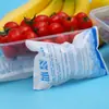 Bolsas de Gelo Autoabsorventes em Estoque para Conservação, Refrigeração, Bolsas de Gelo em Gel para Alimentos e Frutos do Mar, Bolsas de Gelo Descartáveis Espessadas para Entrega