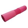 Discos para Barra, Discos de Goma Elástica con Agujero Grande, Específicos para Fitness, Ejercicio de Levantamiento de Pesas en Casa, Sentadillas, Discos Completamente de Goma para Mujeres, Discos para Mancuernas