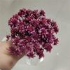 Flor de montanha pequena buquê de flores secas decoração luz luxo high-end diy material real flor air-dried importado espécime material de flor