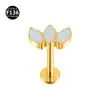 Aleación de Titanio F136 3 Piezas Marqués Circonita Corona Labio Stud Pendiente Oreja Stud Cartílago Oreja Stud Joyería Piercing Venta al por Mayor