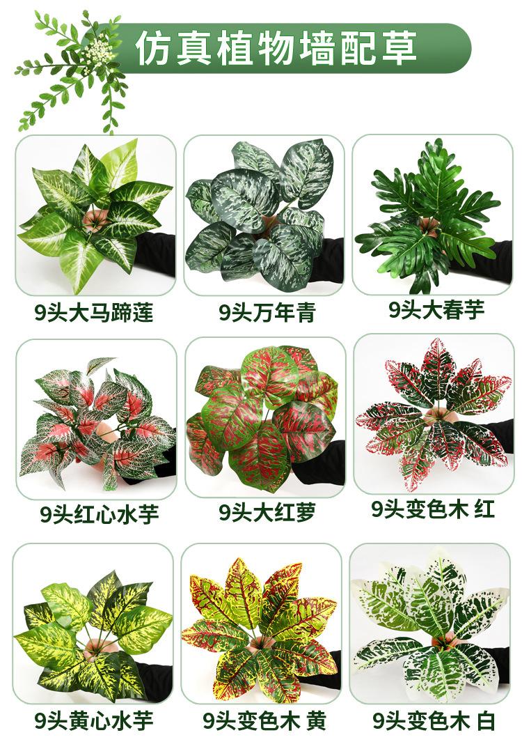 定稿--750-12000_05.jpg