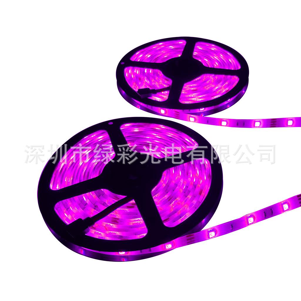 5050防水30灯RGB5米X2套装粉色白底图