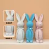 Adornos de Conejo de Pascua Imitación Transfronterizos para Parejas, Adornos de Estatua de Conejo Simulado, Manualidades para Decoración de Jardín y Césped en Stock