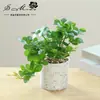 Planta Artificial Colgante Orquídea Bonsái, Decoración Creativa de Interior, Planta Artificial en Maceta de Amazon, Dropshipping