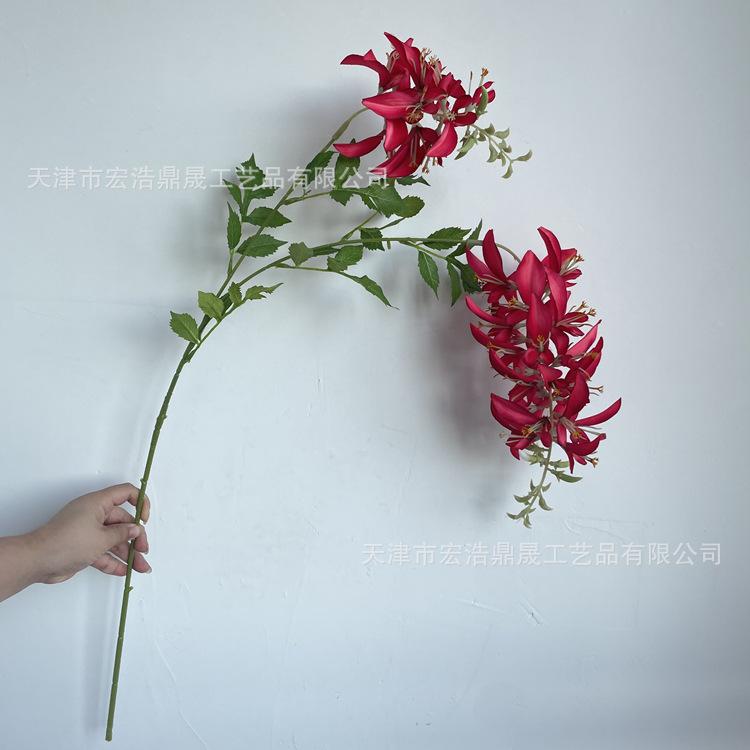 微信图片_202208241820235_副本