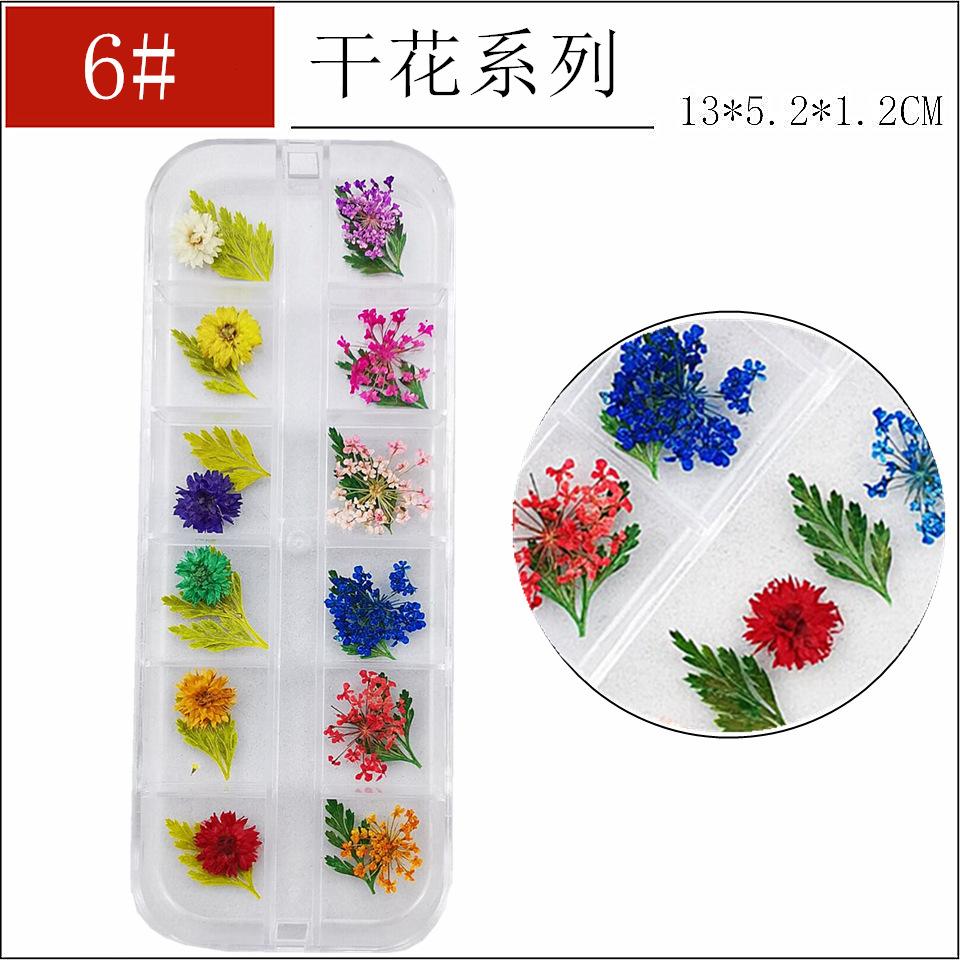 干花6-_副本_副本