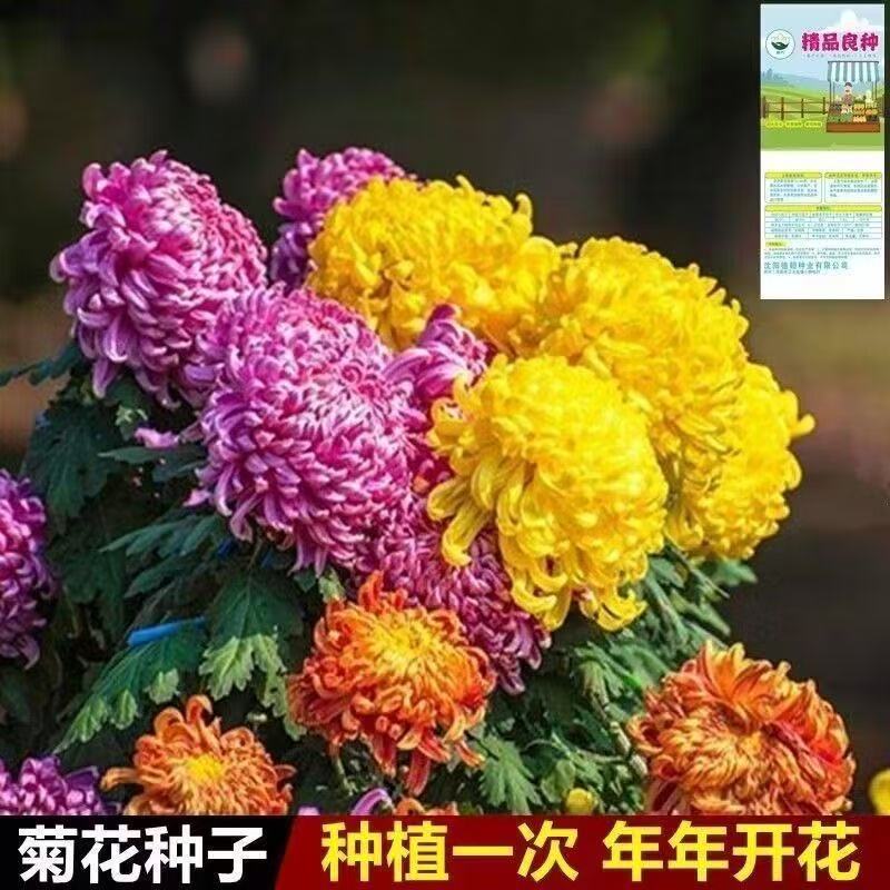 9023a18e79479528ccaeedffdeca5b