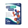 Patch Transfronteiriço para Ossos e Músculos Vértebra Cervical Vértebra Lombar Adesivo de Gesso Patch para Articulações OEM Patch para Contusões e Saúde das Articulações