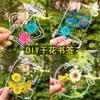 Marcapáginas de flores secas especímenes colección de primavera en botella de película plástica materiales hechos a mano para manualidades estudiantes de primaria flores transparentes