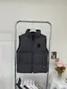 Colete Cápsula Canada Goose Estilo Igual ao de Zhao Lusi Versátil Quente Moda Elegante 2025 Outono e Inverno Novo Produto Putian