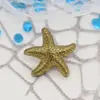 Botones de Presión Metálicos de Estrella de 21 mm Versátiles para Blusas y Chaquetas Botones de Presión Accesorios para Ropa Botones de Presión al por Mayor