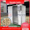 Secador de raiz Banlan totalmente automático comercial grande raiz azul cavalo caixa de secagem de raiz azul equipamento de secagem Mountain Blue totalmente inteligente