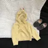 Conjunto de suéter de otoño estilo coreano para niños pequeños, lindo tejido con capucha para bebés, pantalones casuales versátiles, ropa elegante para niños