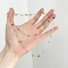Colar com pingente de estrela de seis pontas multicamadas vintage para mulheres, corrente para clavícula com borla brilhante de luxo leve de nicho de alta qualidade