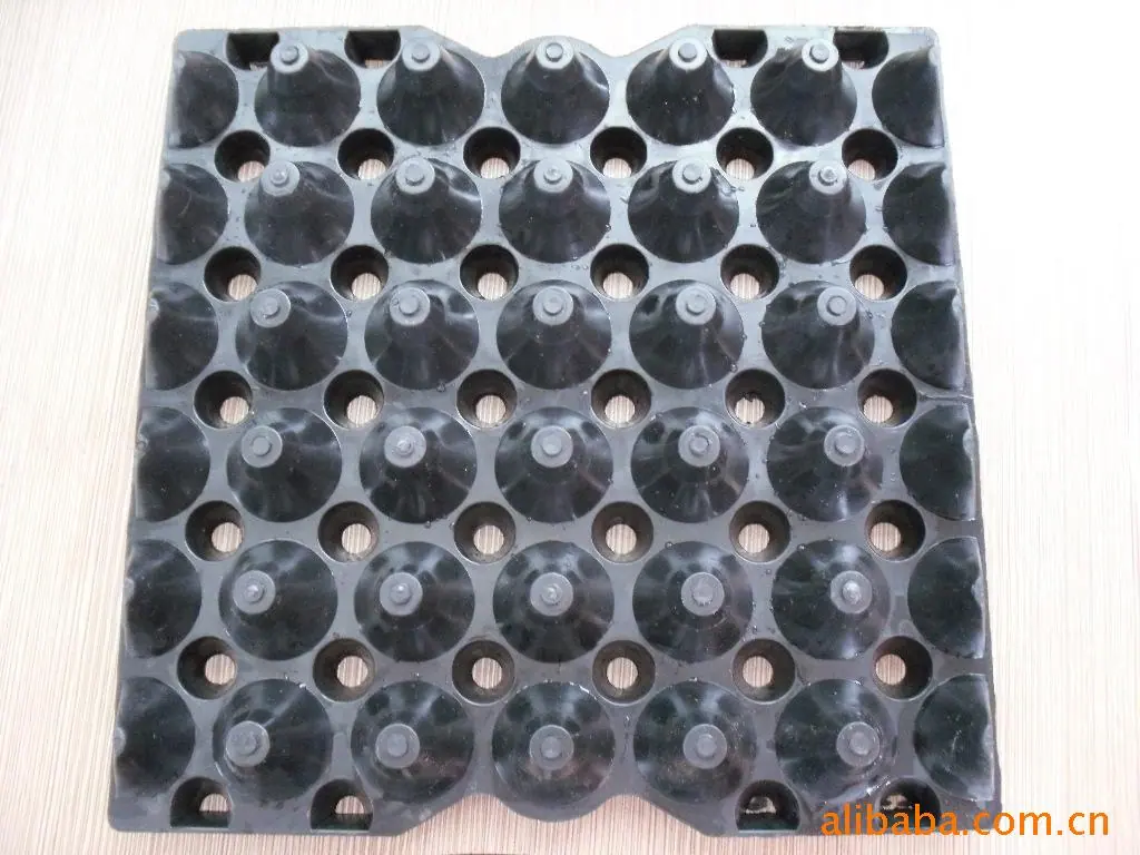 SAM_0820