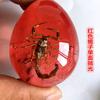 Colgante de Ámbar con Espécimen de Insecto Real Ámbar Insecto Gota de Agua con Forma de Insecto Escorpión Mariposa Abeja Flor Ámbar Transmisión en Vivo Venta al por Mayor